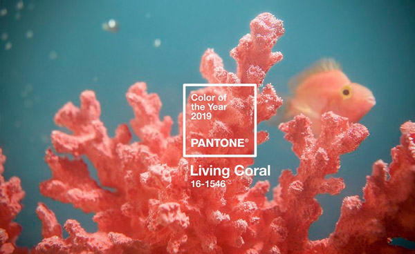 Living Coral - Pantone