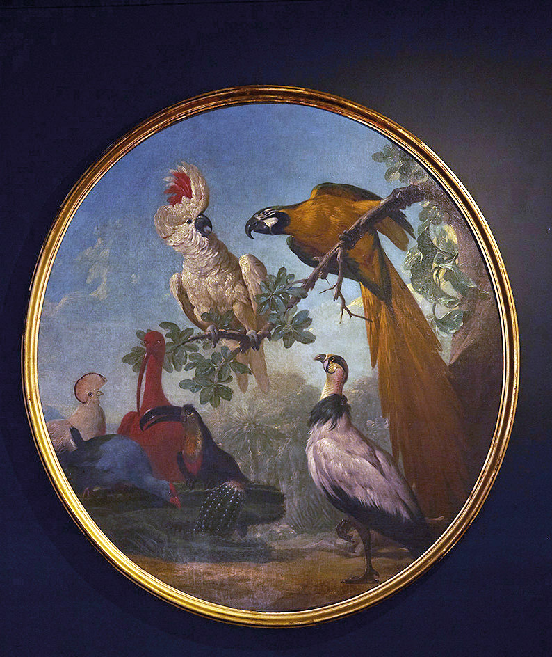 5-19_Jewellery_Paradis-dOiseaux_001-Jean-Jacques-Bachelier-Museum-dhistoire-Nat-Paris