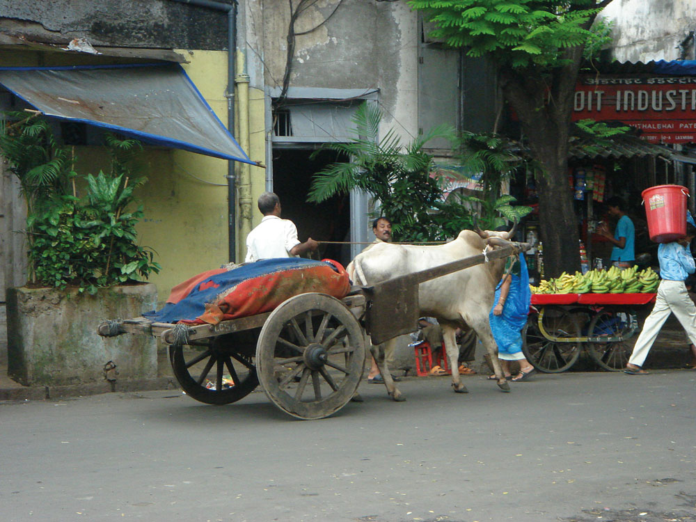 02-2021-Stones-Kulsen-09_Mumbai_Warentransport