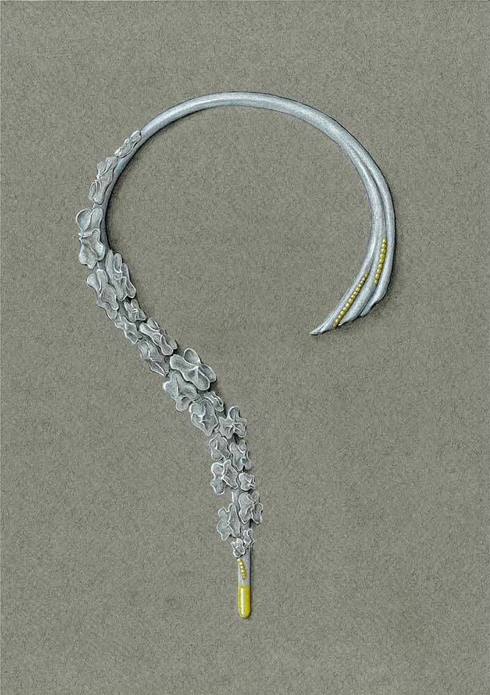 8-2025-Jewellery_Victor-Mayer-Preis-2_Johanna-Reher