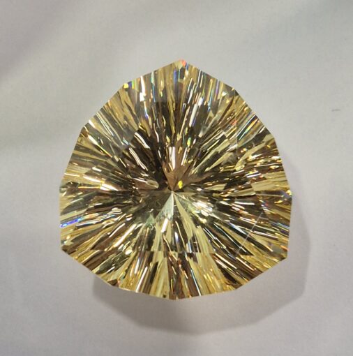 Mit diesem Zirkonia hat Andreas Oelmann aus Deutschland den ersten Preis beim Wettbewerb der Facettierergilde gewonnen.